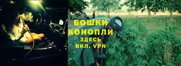 ПСИЛОЦИБИНОВЫЕ ГРИБЫ Видное