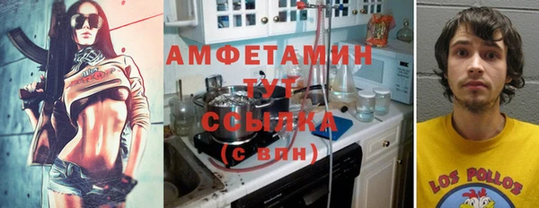молекула духа Покровск